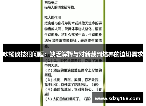 吹杨谈技犯问题：缺乏解释与对新裁判培养的迫切需求